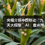 央视介绍中国移动“九天大模型”AI：重点围绕电气工程应用 / 信号处理优化，已进入通信生产等领域（图3）