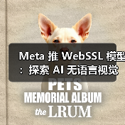 Meta 推 WebSSL 模型：探索 AI 无语言视觉学习，纯图训练媲美 OpenAI CLI