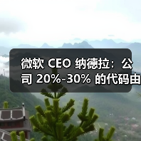 微软 CEO 纳德拉：公司 20%-30% 的代码由 AI 生成（图3）