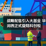 战略配售引入大基金 华润微正式登陆科创板（图2）