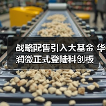 战略配售引入大基金 华润微正式登陆科创板（图3）