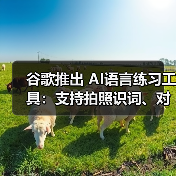 谷歌推出 AI语言练习工具:支持拍照识词、对话练地道口语(图3) 谷歌推出 AI语言练习工具:支持拍照识词、对话练地道口语(图3)