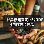 长鑫存储官网上线DDR4内存芯片产品（图4）