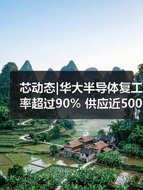芯动态|华大半导体复工率超过90% 供应近500万测温仪芯片