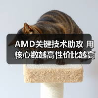 AMD关键技术助攻 用核心数越高性价比越高狙击竞争对手（图2）