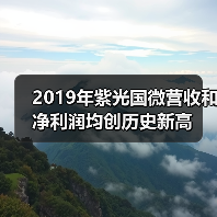 2019年紫光国微营收和净利润均创历史新高（图2）