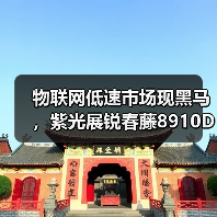 物联网低速市场现黑马，紫光展锐春藤8910DM支撑物联网设备2转4（图2）