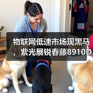 物联网低速市场现黑马，紫光展锐春藤8910DM支撑物联网设备2转4（图3）
