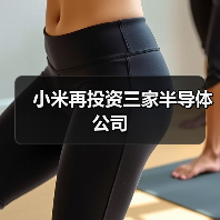 小米再投资三家半导体公司（图3）