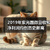 2019年紫光国微营收和净利润均创历史新高（图3）