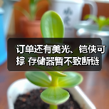 订单还有美光、铠侠可撑 存储器暂不致断链（图4）