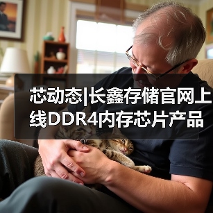 芯动态|长鑫存储官网上线DDR4内存芯片产品