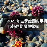 2023年三季度国内手机市场同比降幅收窄(图2) 2023年三季度国内手机市场同比降幅收窄(图2)
