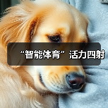 “智能体育”活力四射(图2) “智能体育”活力四射(图2)