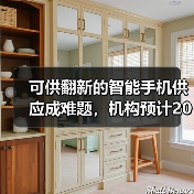 可供翻新的智能手机供应成难题，机构预计2023年全球翻新手机销量将下降（图3）