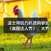 波士顿动力机器狗参加《美国达人秀》，大秀劲歌热舞获全票晋级