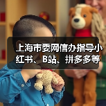 上海市委网信办指导小红书、B站、拼多多等平台清理违规 AI 产品及信息