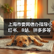 上海市委网信办指导小红书、B站、拼多多等平台清理违规 AI 产品及信息（图4）