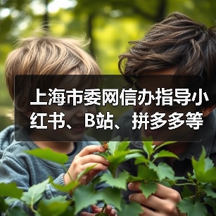 上海市委网信办指导小红书、B站、拼多多等平台清理违规 AI 产品及信息（图3）
