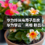 华为终端商用子品牌“华为擎云”亮相 新品发布重新定义智慧商用轻薄本