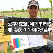 受存储器封测下单量增加 南茂2019年Q4营收改写新高（图2）