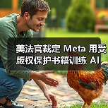 美法官裁定 Meta 用受版权保护书籍训练 AI 属合理使用,13 名作家起诉遭驳回(图4) 美法官裁定 Meta 用受版权保护书籍训练 AI 属合理使用,13 名作家起诉遭驳回(图4)
