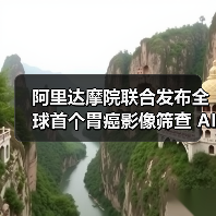 阿里达摩院联合发布全球首个胃癌影像筛查 AI 模型 DAMO GRAPE(图4) 阿里达摩院联合发布全球首个胃癌影像筛查 AI 模型 DAMO GRAPE(图4)