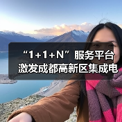 “1+1+N”服务平台 激发成都高新区集成电路企业创新活力（图4）