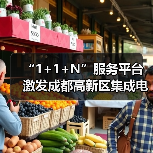 “1+1+N”服务平台 激发成都高新区集成电路企业创新活力（图3）
