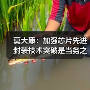 莫大康：加强芯片先进封装技术突破是当务之急（图3）