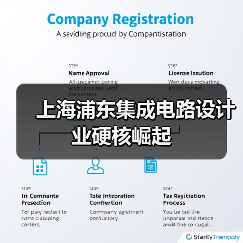 上海浦东集成电路设计业硬核崛起（图4）