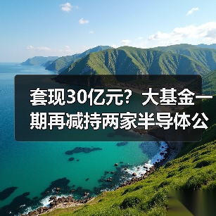 套现30亿元？大基金一期再减持两家半导体公司（图4）