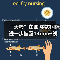 “大考”在即 中芯国际进一步披露14nm产线情况