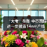 “大考”在即 中芯国际进一步披露14nm产线情况（图4）