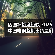 因国补额度短缺 2025中国电视整机出货量创下16年新低