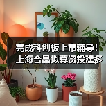 完成科创板上市辅导！上海合晶拟募资投建多个半导体材料项目（图2）