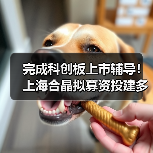 完成科创板上市辅导！上海合晶拟募资投建多个半导体材料项目（图3）
