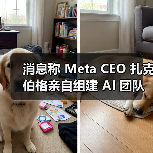 消息称 Meta CEO 扎克伯格亲自组建 AI 团队,目标实现“超级智能”(图3) 消息称 Meta CEO 扎克伯格亲自组建 AI 团队,目标实现“超级智能”(图3)