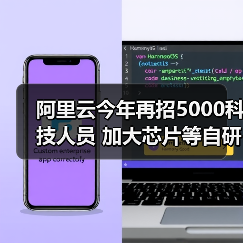 阿里云今年再招5000科技人员 加大芯片等自研力度（图4）