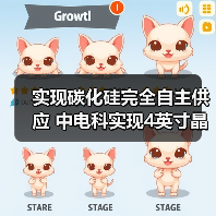 实现碳化硅完全自主供应 中电科实现4英寸晶片量产（图3）