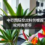 中芯国际交出科创板首轮问询答卷（图4）