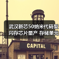 武汉新芯50纳米代码型闪存芯片量产 存储单元面积和密度达国际先进水平（图4）