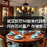 武汉新芯50纳米代码型闪存芯片量产 存储单元面积和密度达国际先进水平
