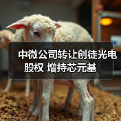 中微公司转让创徒光电股权 增持芯元基（图4）