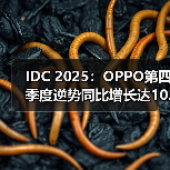 IDC 2025：OPPO第四季度逆势同比增长达10.2%（图4）