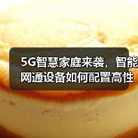5G智慧家庭来袭，智能网通设备如何配置高性能国产存储芯片？