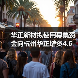华正新材拟使用募集资金向杭州华正增资4.6亿元（图4）