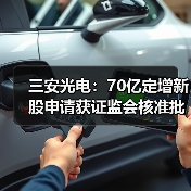 三安光电：70亿定增新股申请获证监会核准批复（图4）