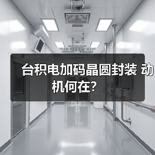 台积电加码晶圆封装 动机何在？（图4）