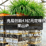 兆易创新43亿元定增结果出炉（图4）